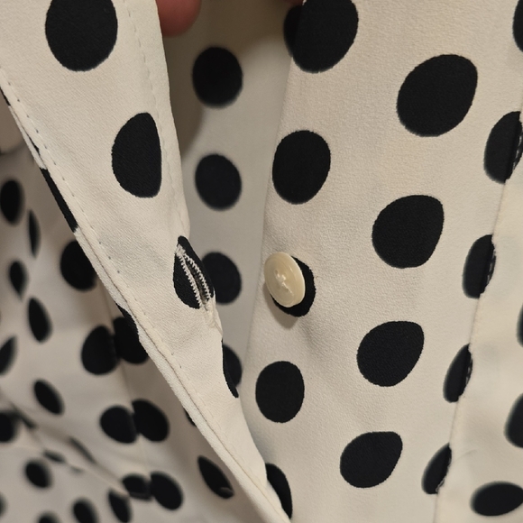 Ann Taylor Black and White Polka Dot V-Neck Blouse - Picture 7 of 7